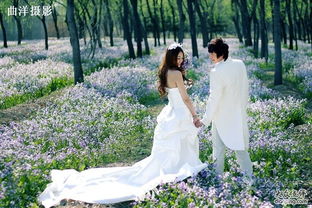 中式婚纱摄影的开创者——曲洋摄影，传承经典之美